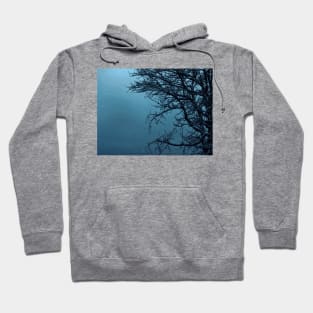 Snowy Tree landscape photography Hoodie